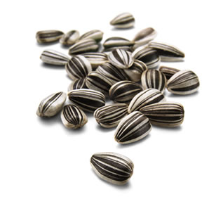 Sunflower seeds